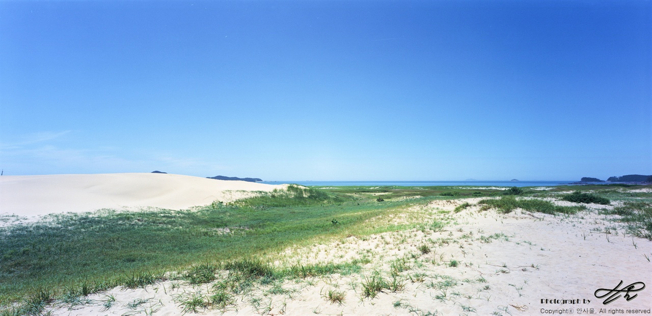 신두리 해안사구 (SW612/Ektar100)멀리 띠처럼 파란 바다가 보인다. 왼쪽으로 보이는, 바람이 쌓아놓은 모래언덕이 인상적이다.
