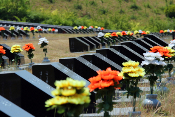 거창사건추모공원 내 묘역에는 동족상잔의 비극인 6?25 한국전쟁 때 국군에 의해 학살당한 무고한 거창군 신원면민 719명의 넋이 묻혀 있다.
