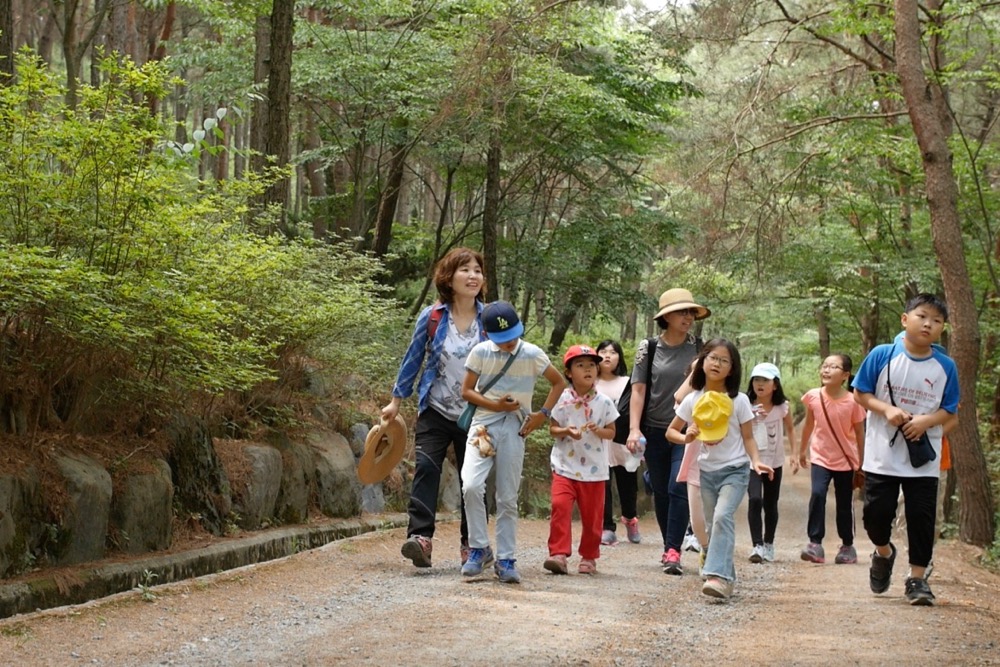 지난 24일 충남 청양군에서 우산성 숲놀이 학교가 열렸다. 숲으로 걸어가는 아이들