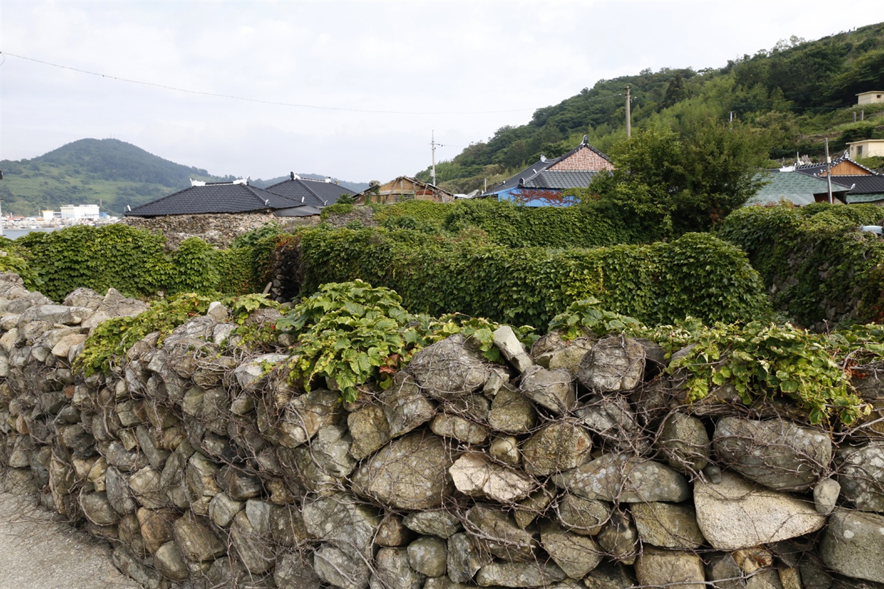 쑥섬 마을 풍경. 마을에는 오래 된 돌담이 줄지어 서 있다. 돌담에서 세월의 더께가 묻어난다.