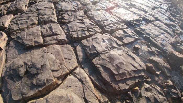 바닥에 놓여있는 바위 문양이 독특합니다. 