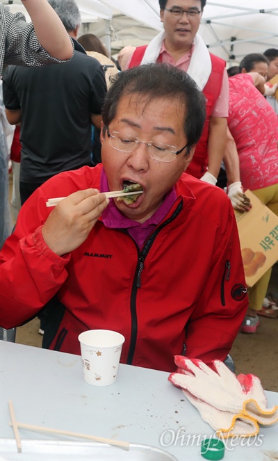 자유한국당 새 지도부 선출을 위한 7.3 전당대회가 열린 3일 오전 경기 남양주시 조안면 시우리 한 감자농가에서 홍준표 후보가 새참으로 막걸리에 빈대떡을 먹고 있다. 