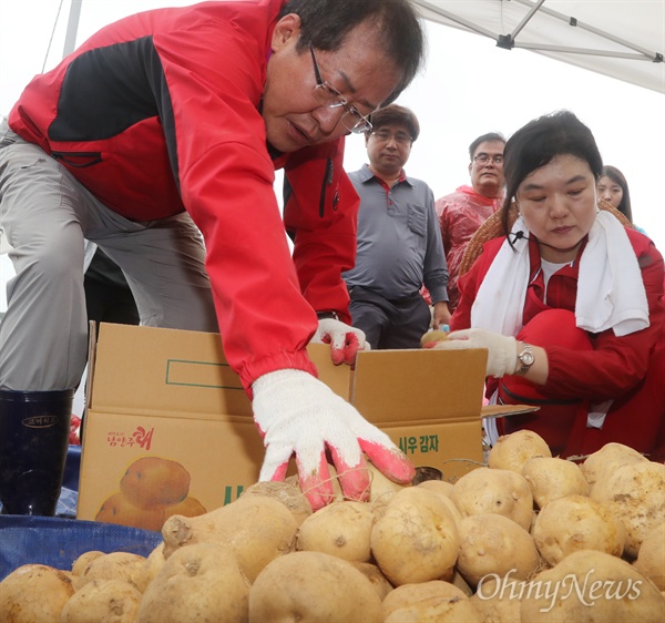 2017년 7월 3일, 자유한국당 새 지도부 선출을 위한 7.3 전당대회가 열렸다. 경기 남양주시 조안면 시우리 한 감자농가에서 당시 홍준표 후보가 감자를 상자에 담고 있다. 