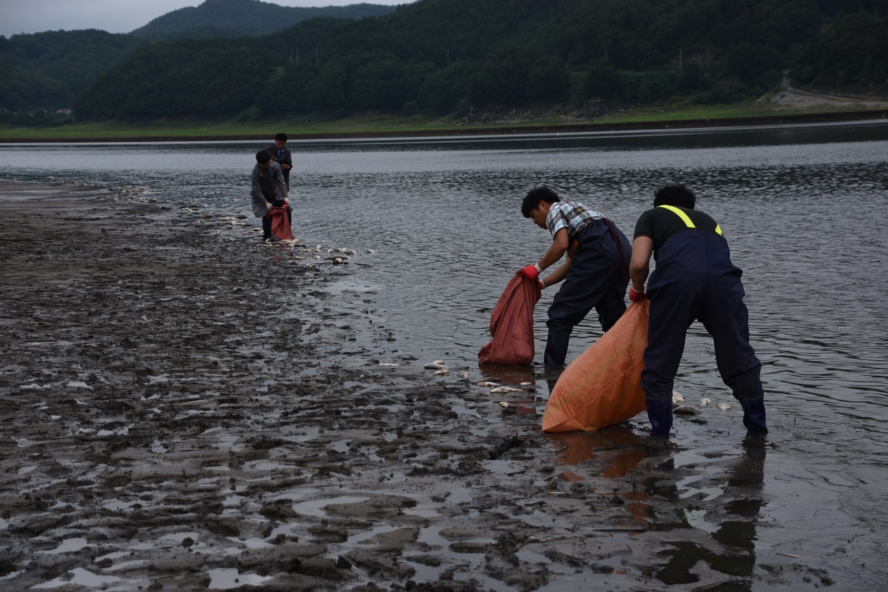  수자원공사 직원들이 열심히 수거를 하고 있다