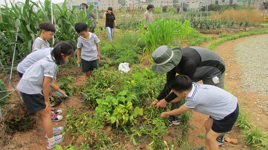 전남 순천시 신대도시농업공원에서 유치원생들이 텃밭농사 체험을 하고 있다.