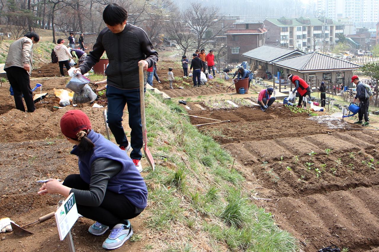  지난 4월 8일 '향림도시농업체험원'이 개장하면서 도시농부들의 일손이 바빠졌다.