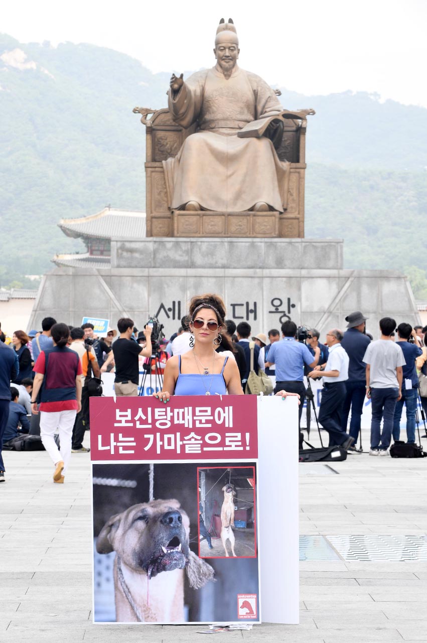 초복을 하루 앞둔 11일 오전 동물보호단체 세이브코리언독스에서 활동하는 영국인 루시아 바버(Lucia Barber) 씨가 서울 종로구 광화문광장에서 '개 식용 반대' 1인시위를 펼치고 있다.