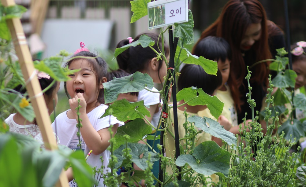엄사유치원의 한 아이가 호기심 가득한 눈으로 식물을 들여다 보고 있다.  