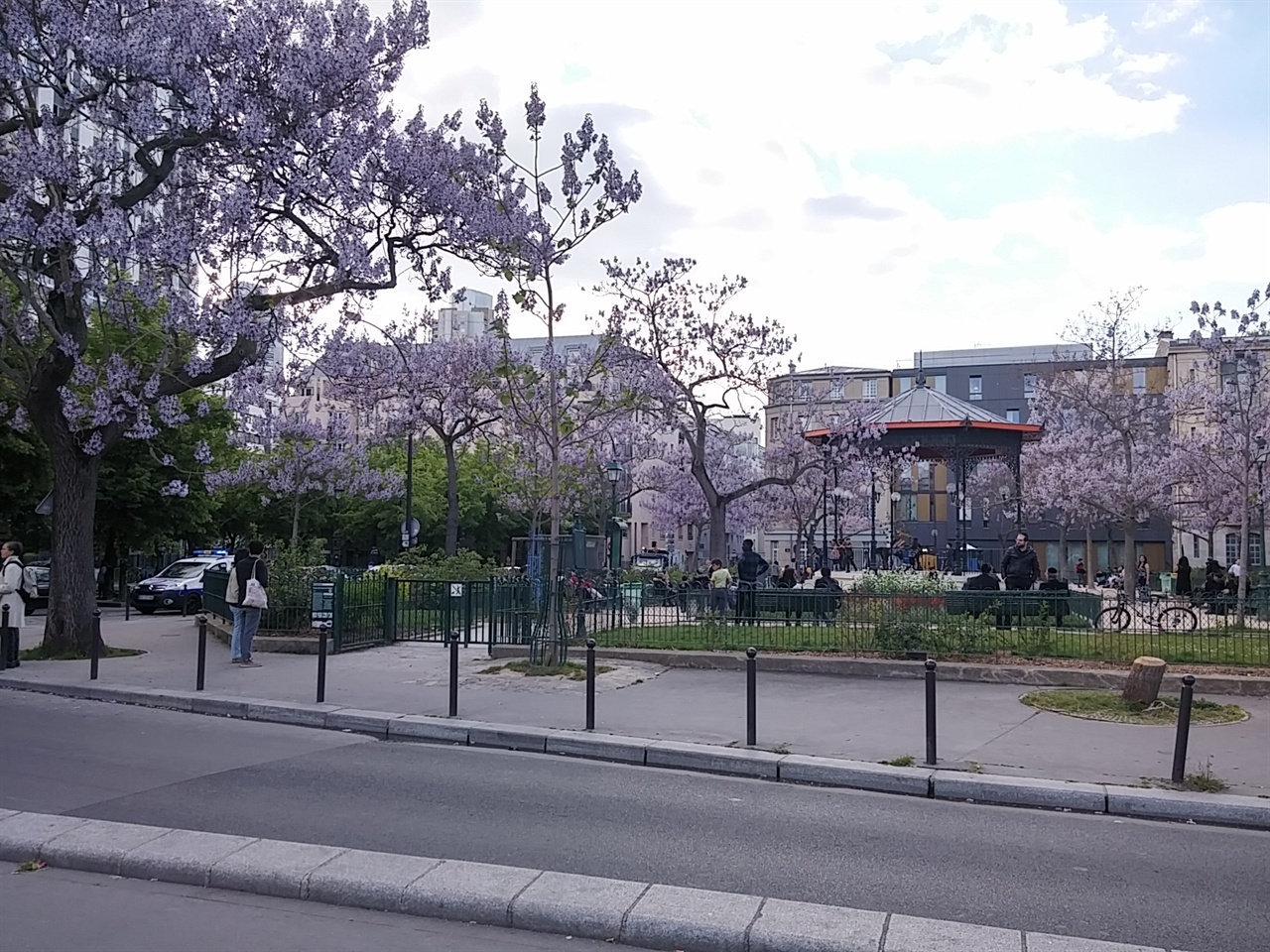 파리 동네 공원에 만개한 4월의 벚꽃