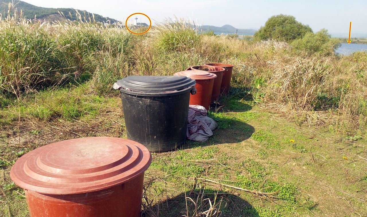 강변에 놓인 커다란 통 안에 녹조 자루가 가득했고, 구더기가 우글거리고 있었다. 풀밭 너머로 금강 부여보가 보인다. 