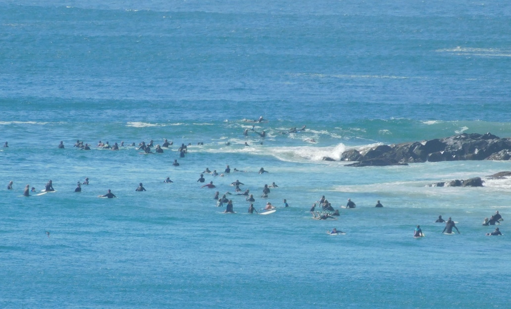 남녀노소 모두 즐기는 서핑. 파도가 높은 누사 헤드(Noosa Head)는 서퍼들로 항상 붐빈다.