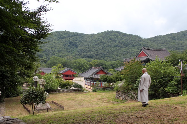 장흥 보림사입니다.