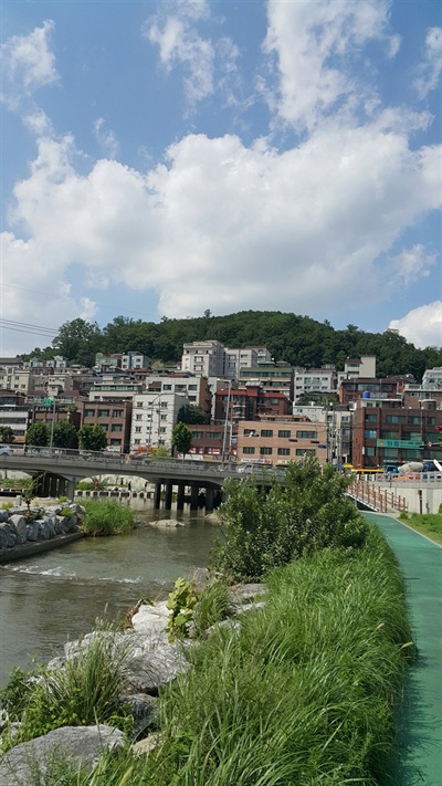 신림2교 뒤로 야트막한 장군봉이 보인다. 그 봉우리 아래 어디 쯤에 강태사서원이 있었을 것이다.
