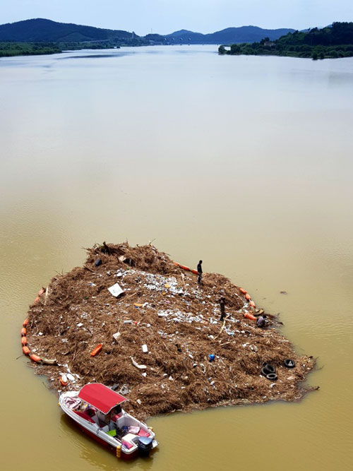 <오마이뉴스> 보도 후 작업자들이 백제보 상류 왕진교 다리 밑에 걸렸던 쓰레기 섬 제거를 위해 더미 위에 올라가 있다. 