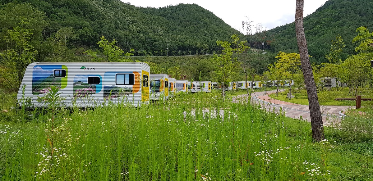  빈 카라반이 1년째 도열해있는 오토캠핑장 잔디밭에 잡초가 자욱하게 자라고 있다.