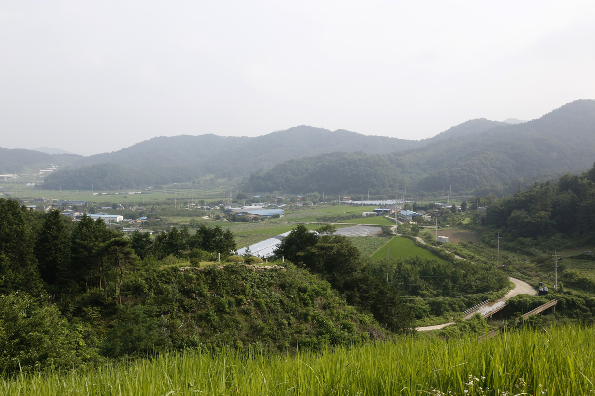 변한석 씨의 곤충 사육장 앞으로 펼쳐진 마을 풍경. 사육장 뒤로는 방장산이 감싸고 있다.