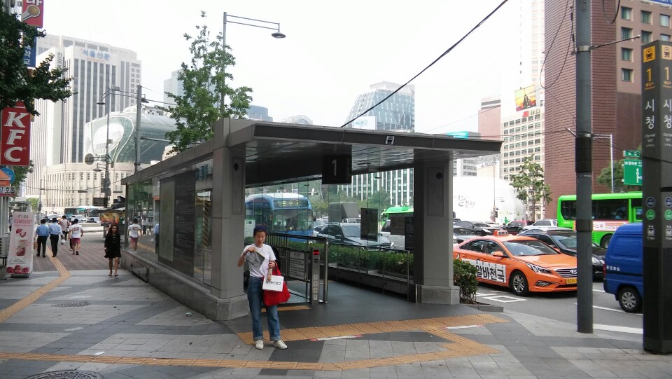 지하철 2호선은 1978년 3월 9일 착공되어 1984년 5월 22일 서울대입구역에서 을지로입구역 구간이 개통되면서 전구간이 완공되었다. 사진은 순환선으로 건설된 서울 지하철 2호선의 출발역인 시청역 모습이다.