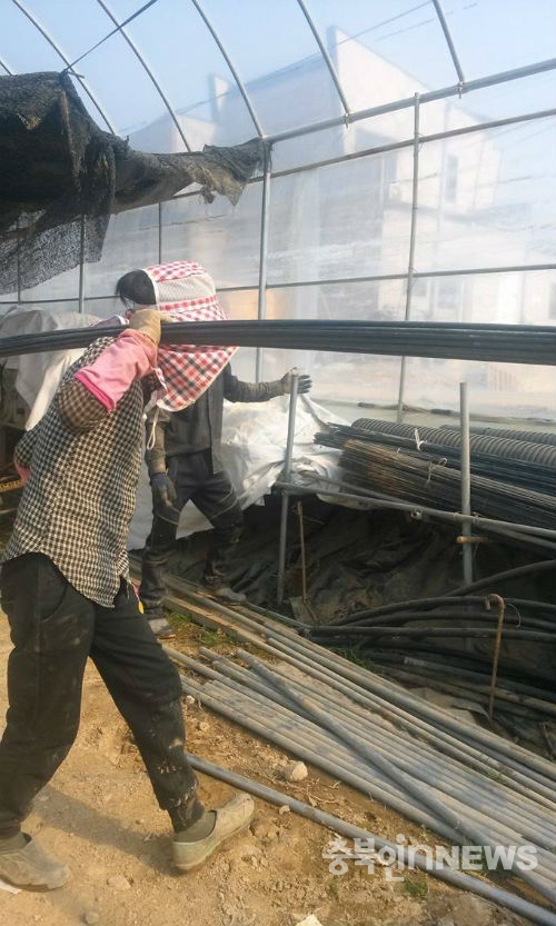캄보디아 출신의 여성노동자가 비닐하우스에서 철근을 나르고 있다.(사진 지구인의정류장)