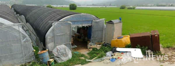 짠나씨가 사용한 비닐하우스 숙소 외관 (사진 지구인의정류장)