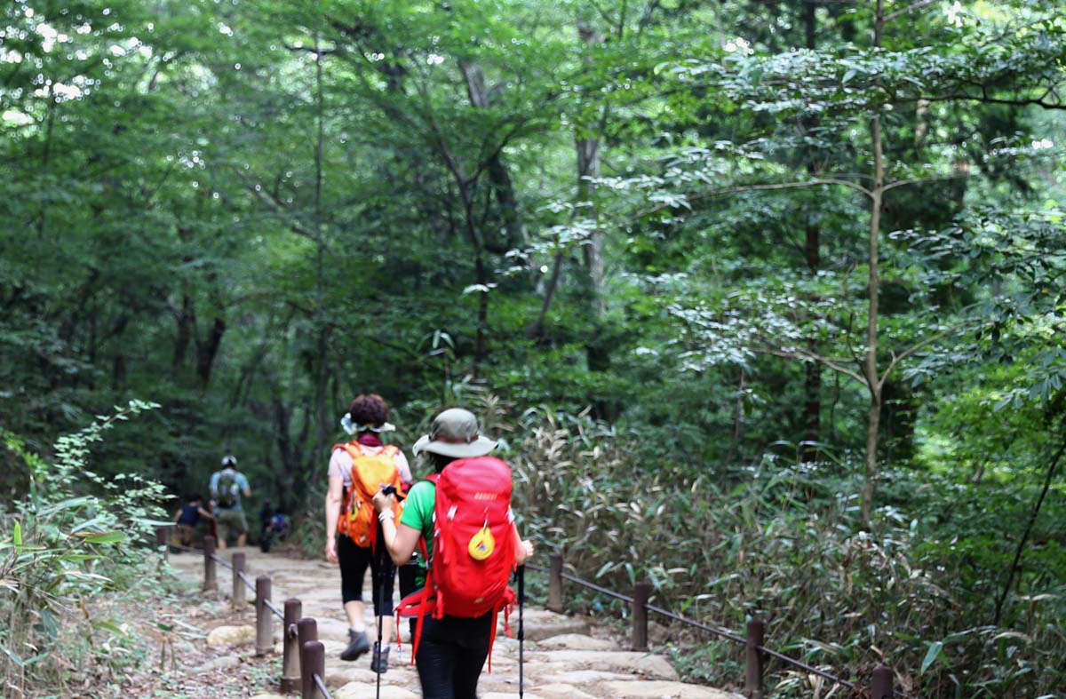 지리산은 사철 많은 사람들이 찾고 있다. 녹음이 우거진 한여름에도 피서와 등산을 목적으로 산을 찾는 사람들이 많다.