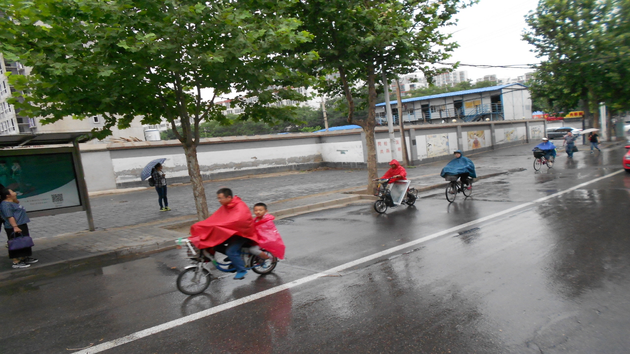 중국은 자전거 천국이다. 자동차도 엄청 많지만  출퇴근 시간에는 자전거 행렬이 거대한 떼를 이루어 달린다. 비가 와도 자전거를 덮는 비옷으로 가리고 달리는 모습이 인상적이다.