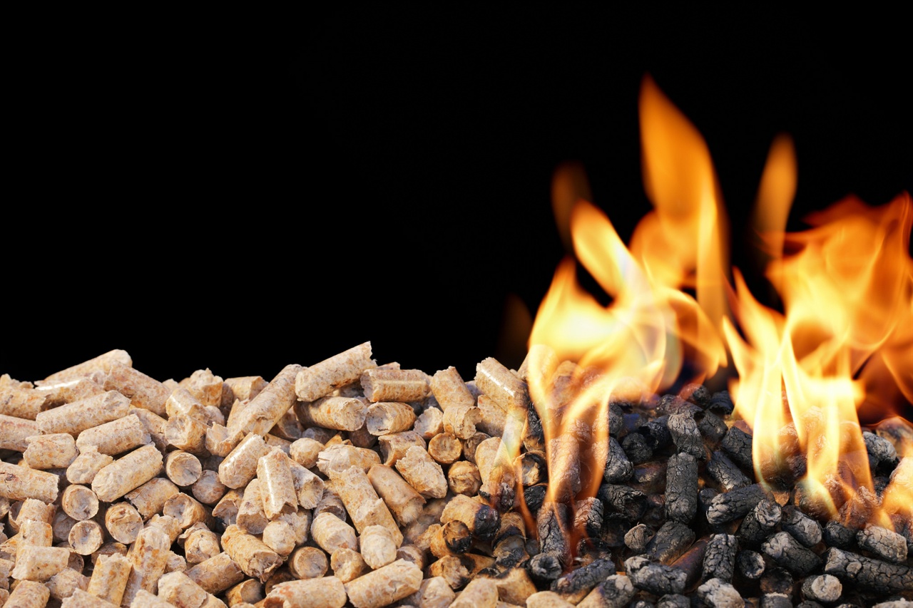 목재펠릿(wood pellet)이란 목재를 파쇄, 건조, 압축해 작은 알갱이 형태로 만든 바이오 연료다. 한국의 목재펠릿 수입량은 세계 3위에 달한다.