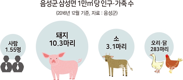 음성군 삼성면은 가축사육 밀도가 전국에서 최상위를 기록하고 있다(인포그래픽 서지혜 차장).