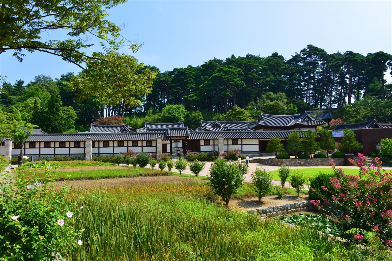 족제비가 점지해준 천하명당 강릉 선교장 전경, 푸른 노송이 우거지고 배롱나무 꽃과 연꽃, 상사화가 피는 강릉 선교장은 여름이 아름답다. 