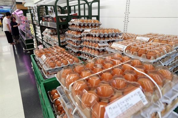 지난 10일 서울 시내 한 대형마트 계란 판매 코너.