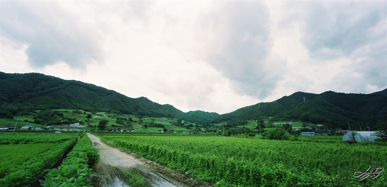 녹색 천지 (SW612/Pro160NS)대관령으로 이동하던 중 잠시 샛길로 빠져 담은 마을을
 사진. 구름 밑으로 온통 녹색의 풍경이 펼쳐져 있다.