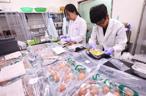 살충제 검출 계란 파장이 계속되고 있는 16일 오전 경기도 안양시 만안구 국립농산물품질관리원 경기지원 분석실에서 관계자들이 계란을 검사하고 있다. 