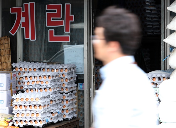 살충제 계란 파장이 전국으로 확산된 16일 서울의 한 전통시장 계란 도매업소가 한산한 모습을 보이고 있다. 