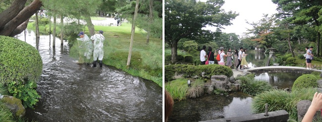           겐로쿠엔 공원 안에는 이곳저곳에서 청소를 하거나 나무를 손질하거나 잡초를 뽑는 일손을 자주 볼 수 있습니다. 비가 오는 날 비옷을 입고 일을 하기도 했습니다. 아마도 이렇게 끊이없이 손질을 하니 깨끗하게 보이는지도 모릅니다.