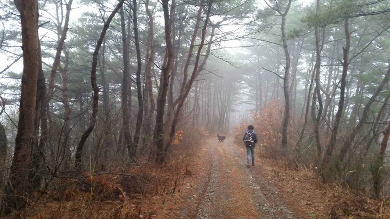  내가 사는 산막으로 들어서려면 조선 소나무 숲길로 들어서야 한다. 노래하는 두 녀석들에게는 그동안 걸어왔던 산길과 바닷길은 단지 자신들만의 길이 아닌 누군가와 함께 할 또 다른 노래이기도 하다.