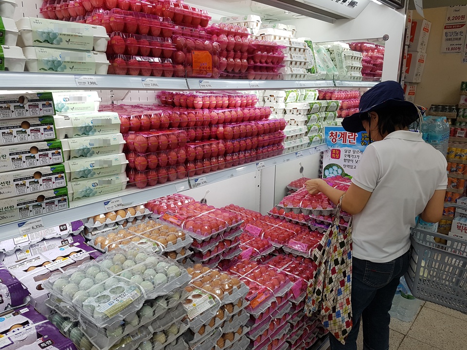 계란판매가 재개되고 19일 오후 적합판정에도 불구하고 국민들의 ‘살충제 계란’에 대한 의혹이 가시지 않은 지, 재개된 계란판매 매장은 사람들의 발길이 뜸한 가운데 한 주부가 계란 진열대를 살펴보고 있다.