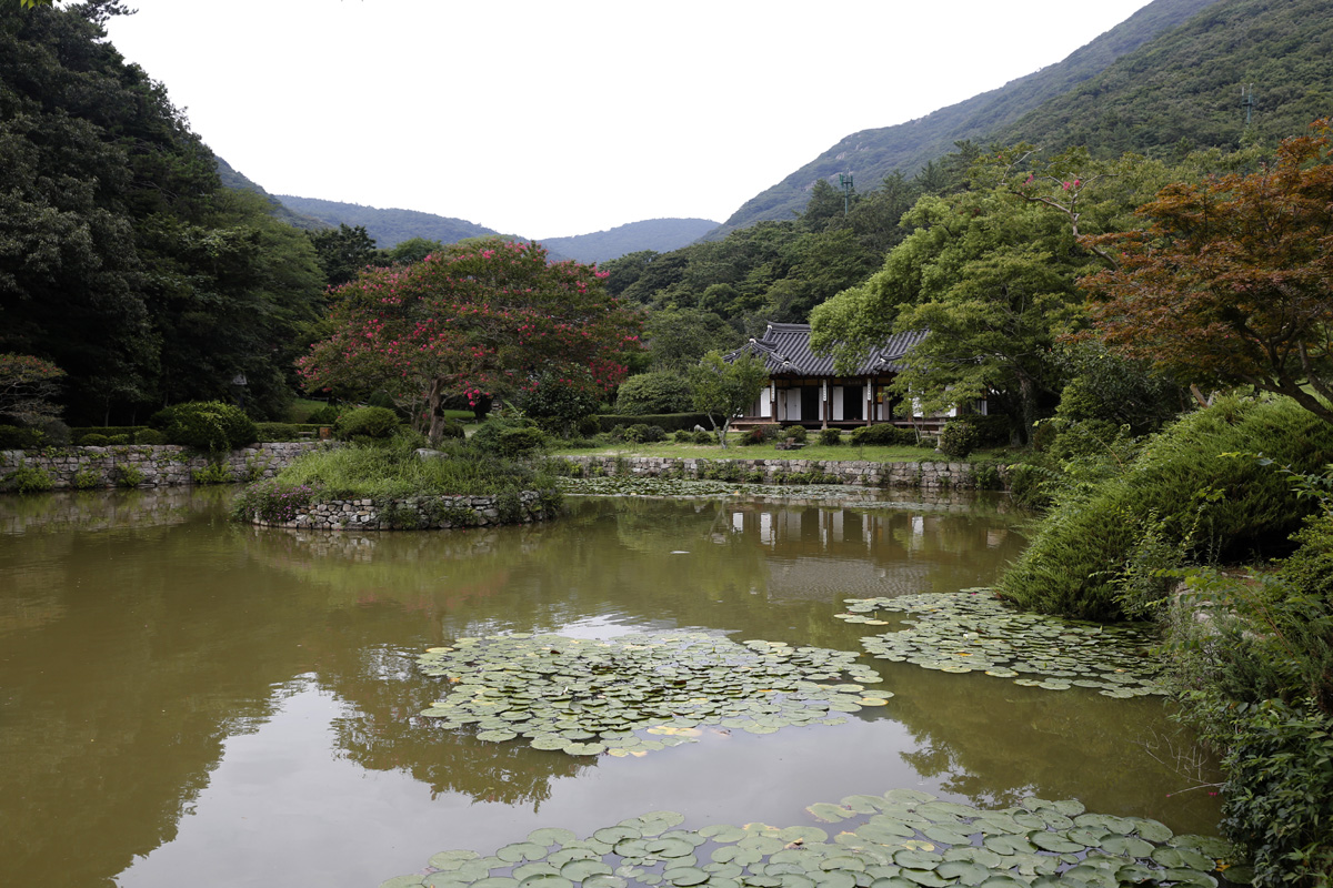 지난 8월 19일 김갑주 씨가 여행길에 들른 진도 운림산방. 첨찰산 자락의 운림산방은 조선시대를 대표하는 화가 소치 허련에서부터 일가 5대가 200년 동안 그림을 그려온, 남종화의 중심지다.