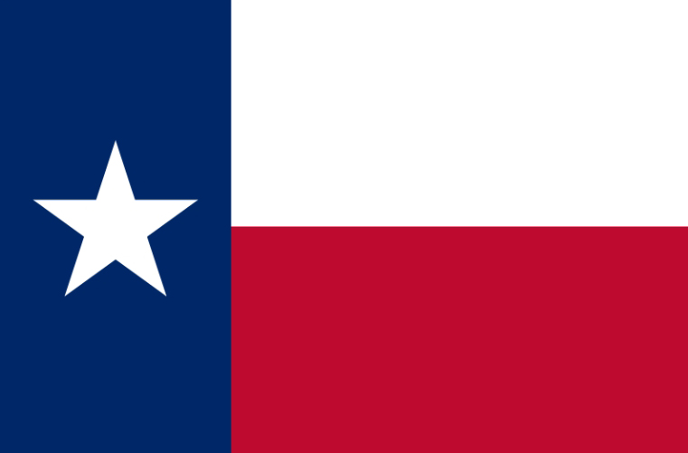 텍사스주의 공식 깃발. 