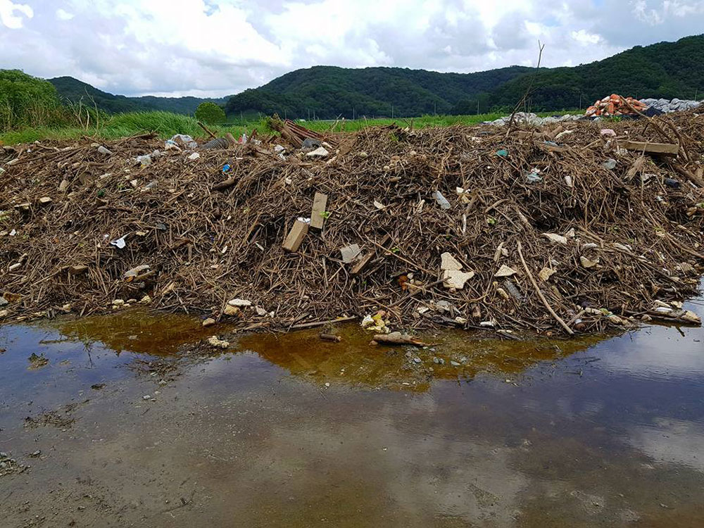 공주보 상류에서 수거한 쓰레기를 강변에 쌓아 두면서 침전물이 흘러내리고 강변을 오염시키고 있다.