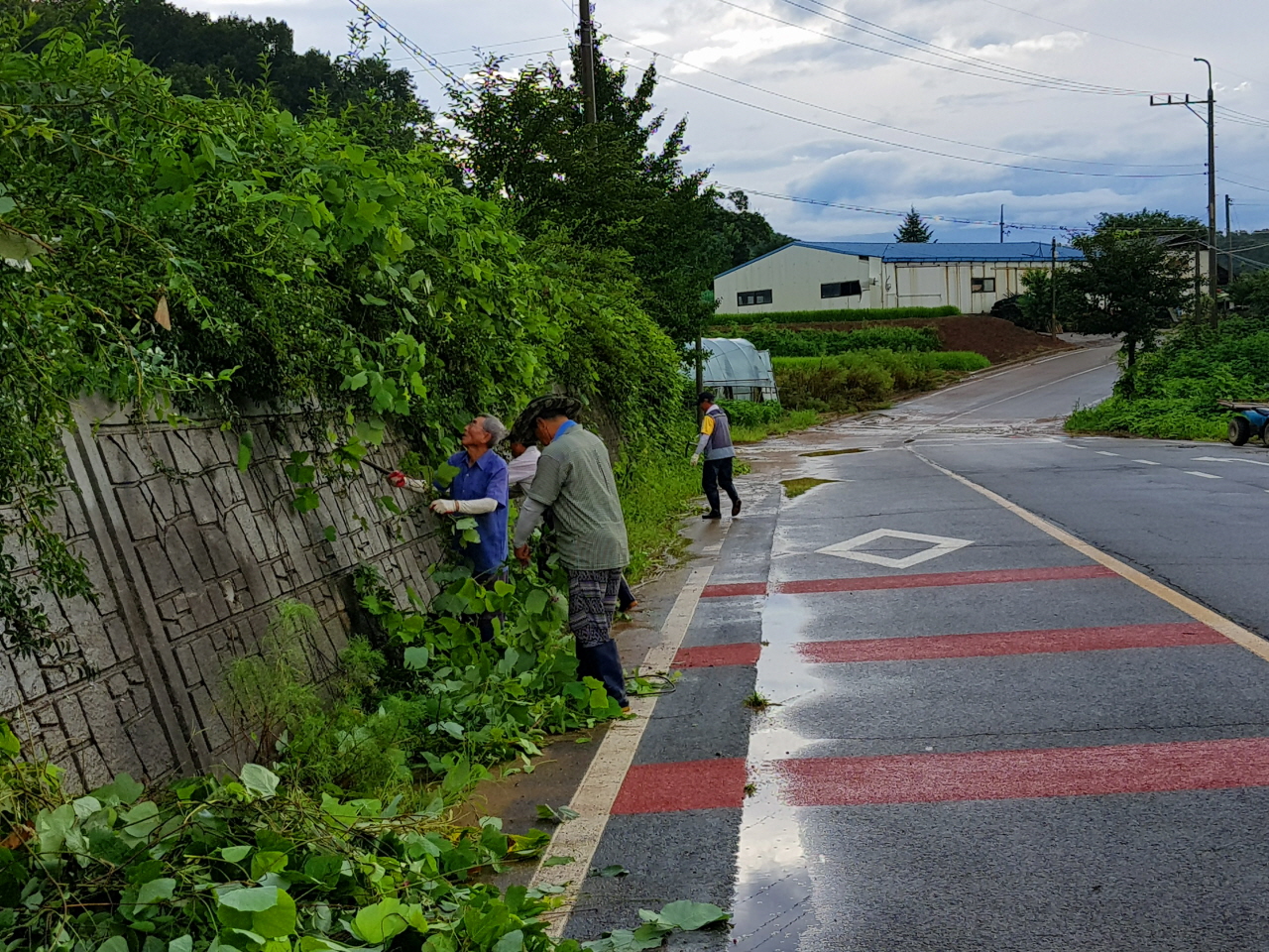 마을 동산에 잡초를 제거하고 길을 정비하는 동이리마을 주민들 