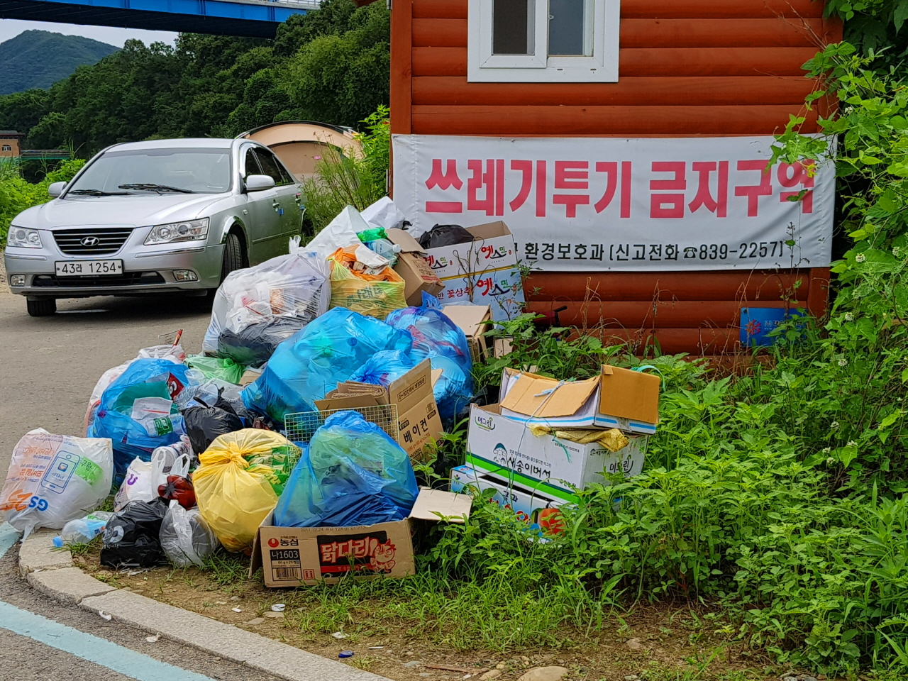 주상절리 주변에 행락객들이 버린 쓰레기(8월 13일 촬영)