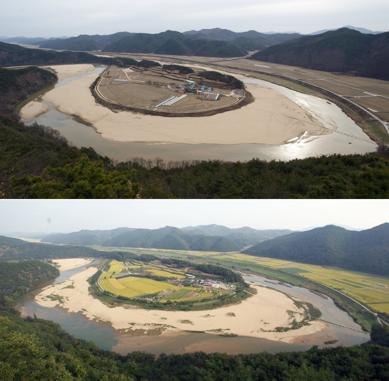 영주댐 건설 전(2009년, 아래쪽) 후(2016년, 위쪽)의 회룡포 모습. 모래 백사장이 줄어들기 시작했고, 백사장에 풀이 자라며 습지로 변하고 있다. 