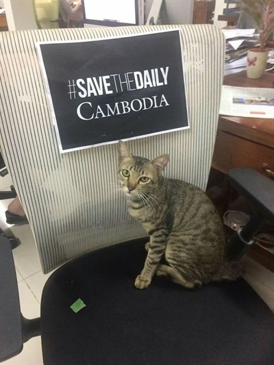 지난 25일 캄보디아 데일리는 '이삭' 이란 이름을 가진 회사 마스코트 고양이 사진을 공식페이스북계정에 올렸다. 댓글에는 언론사 폐쇄에 대항해 싸우는 우리를 고양이 이삭도 지원해주고 있다며, 독자들도 함께 지지해줄 것으로 당부했다. 