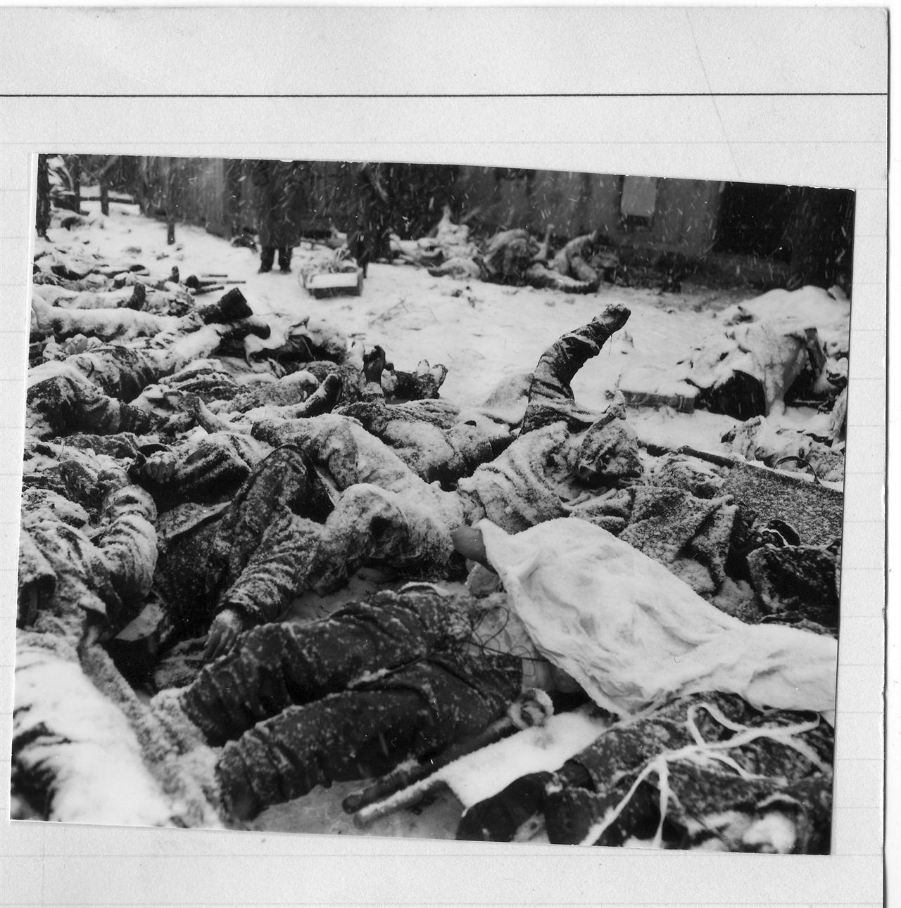  1950. 12. 8. 유엔군들이 장진호전투에서 후퇴 중 동사하여 고토리 길섶에 뉘어져 있다.