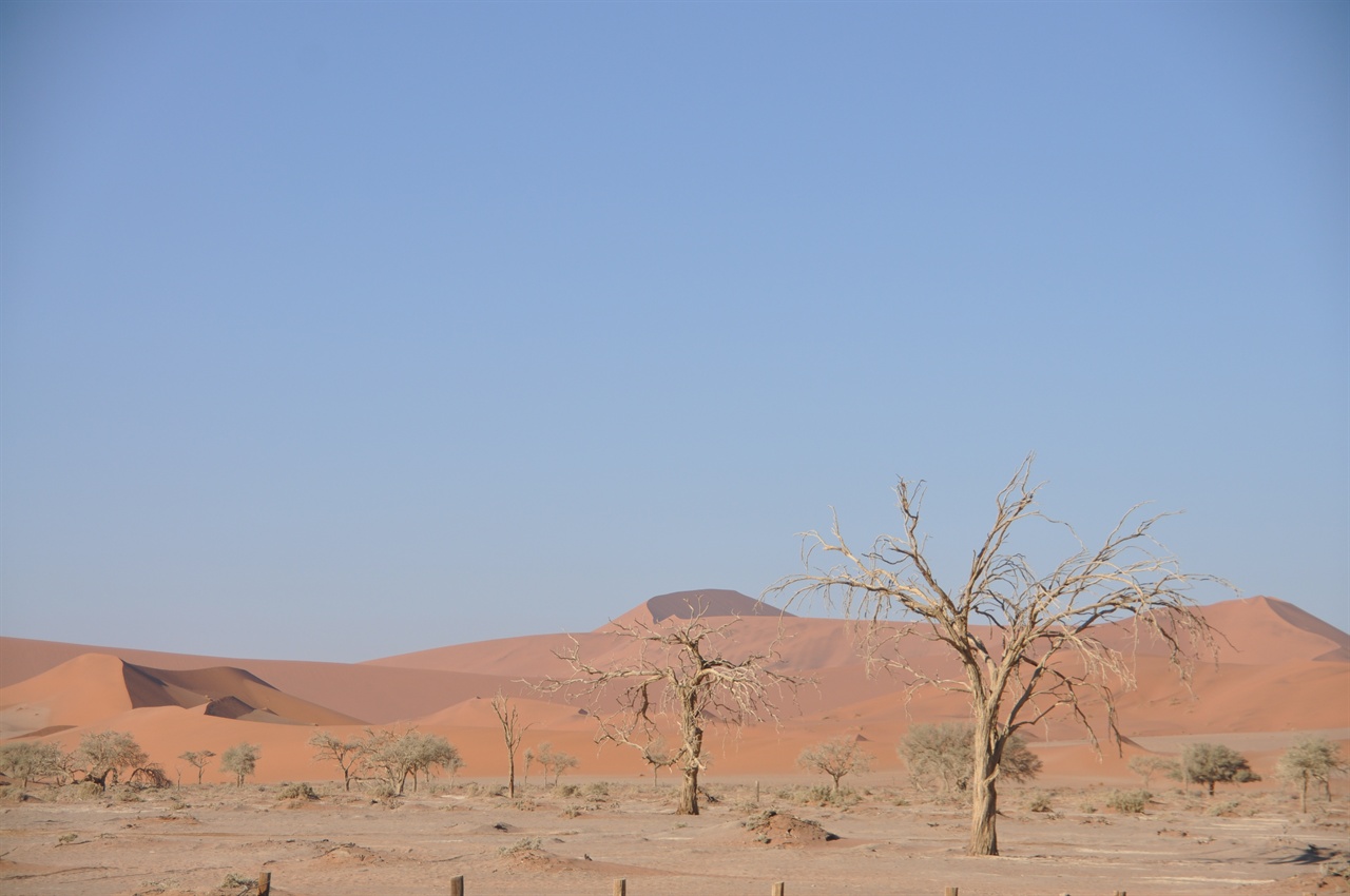 나미브 사막에 끝없이 이어지는 모래언덕들