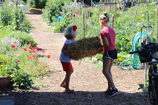 시애틀 피카르도 팜 피-패치에서 도시농업을 체험 중인 아이들.