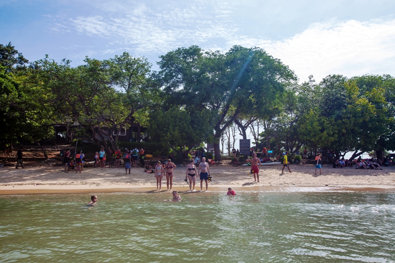 태국 해변의 시원한 나무 그늘 아래서 일상의 답답함을 벗어던진 여행자들.