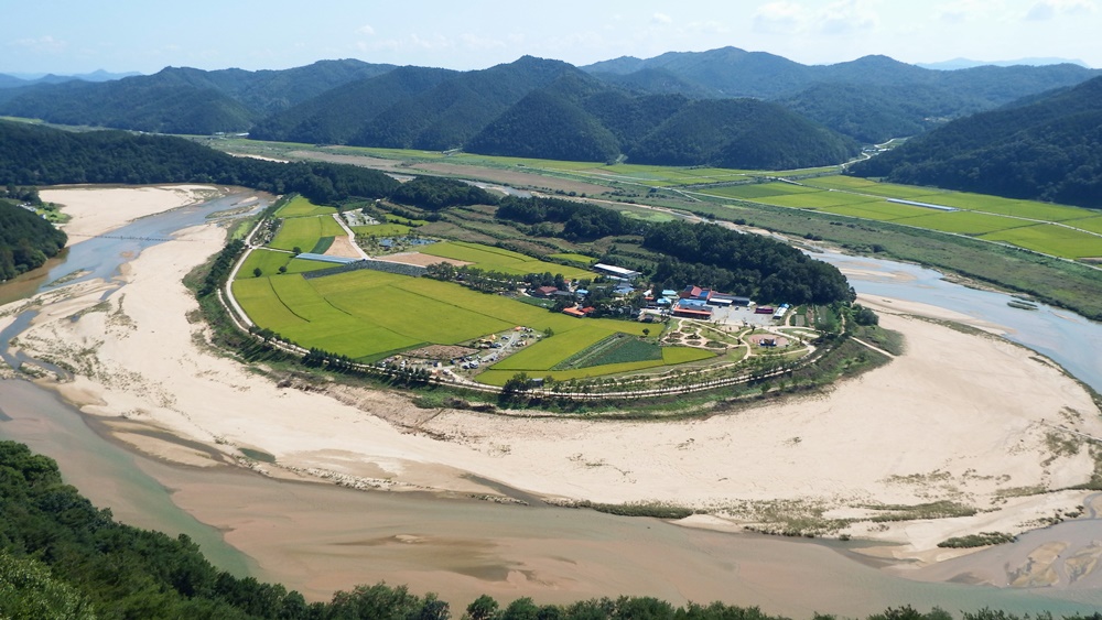 2014년 회룡포 깨끗하던 백사장은 2014년부터 풀들이 보이기 시작합니다. 마치 백옥 같은 백사장에 푸른빛 수염이 돋아난 것 같습니다. 이때부터 모래톱이 줄고 풀이 돋기 시작한 것 같습니다  