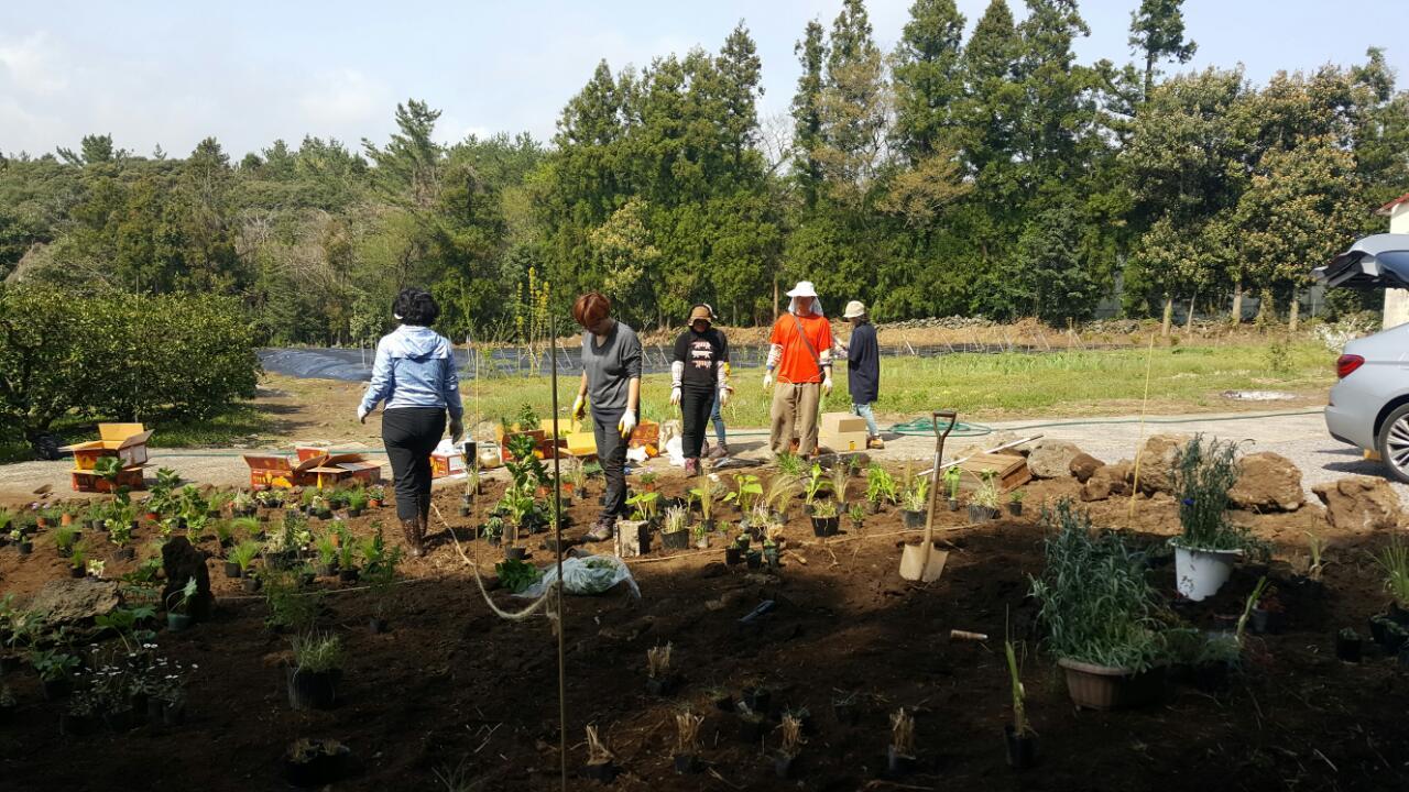 요즘 지자체에서 공동체 정원가꾸시 사업을 많이 하고 있다. 사진은 서귀포의 정원실습모임인 '정원은내친구'에서 공동체정원을 조성하는 장면이다. 