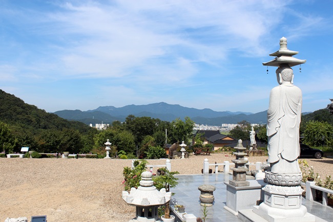 상주 도림사 대웅보전와 마주한 앞산은 부처님이 누워 계시는 천년 와불산입니다.