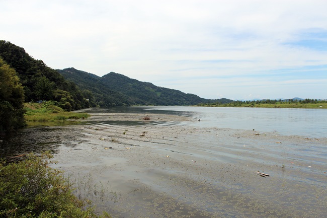 지난 4일, 상주보로 가던 중 강창교에서 내려 본 낙동강 상류 모습입니다.